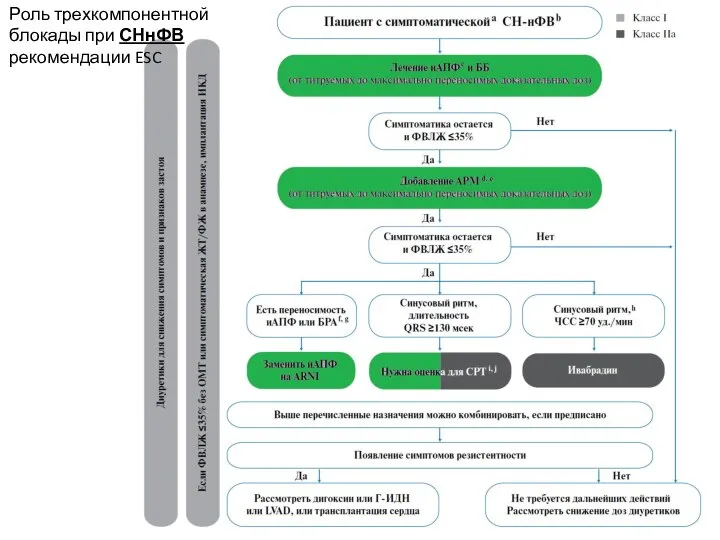 Роль трехкомпонентной блокады при СНнФВ рекомендации ESC