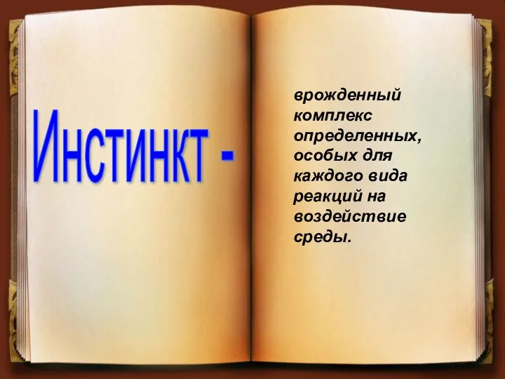 врожденный комплекс определенных, особых для каждого вида реакций на воздействие среды. Инстинкт