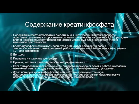 Содержание креатинфосфата Содержание креатинфосфата в скелетных мышцах увеличивается в процессе адаптации организма