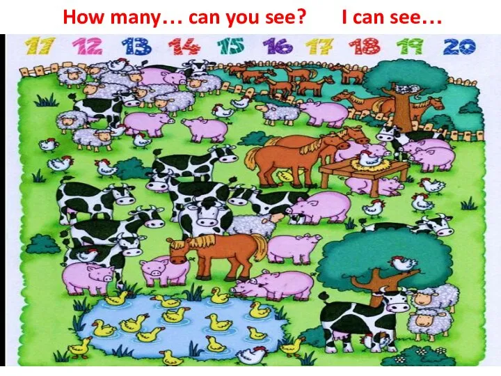How many… can you see? I can see…