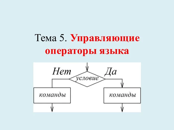 Тема 5. Управляющие операторы языка