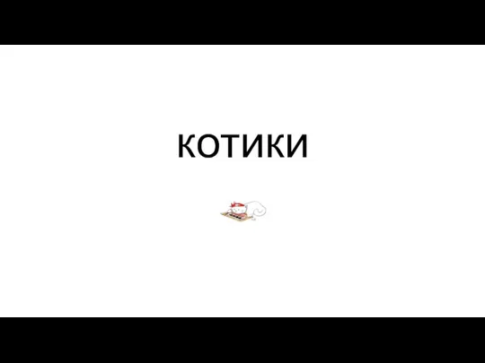 котики