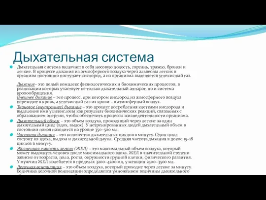 Дыхательная система Дыхательная система включает в себя носовую полость, гортань, трахею, бронхи