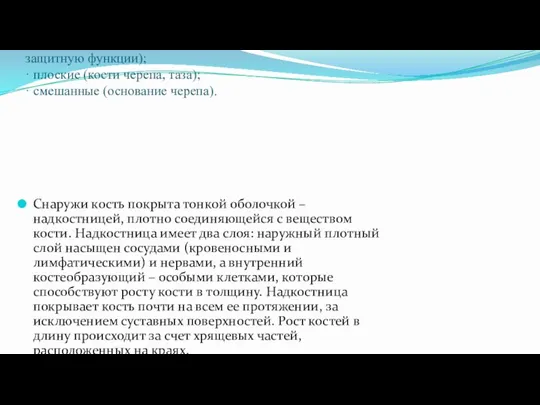 1. Костная система У человека 206 костей (85 парных и 36 непарных),