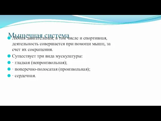 Мышечная система Любая двигательная, в том числе и спортивная, деятельность совершается при