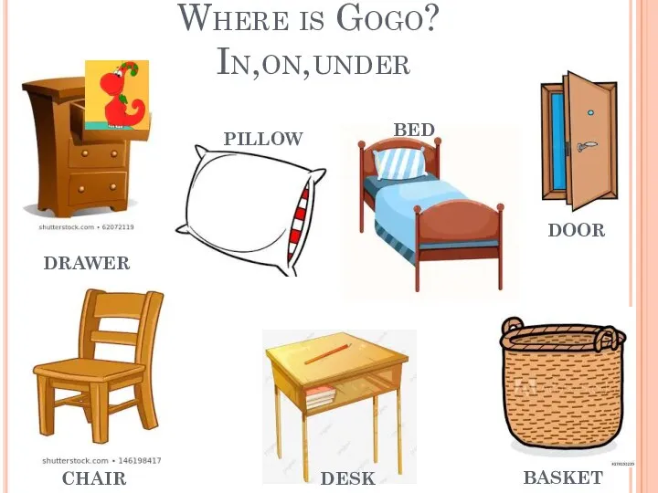 Where is Gogo? In,on,under drawer chair desk basket door bed pillow