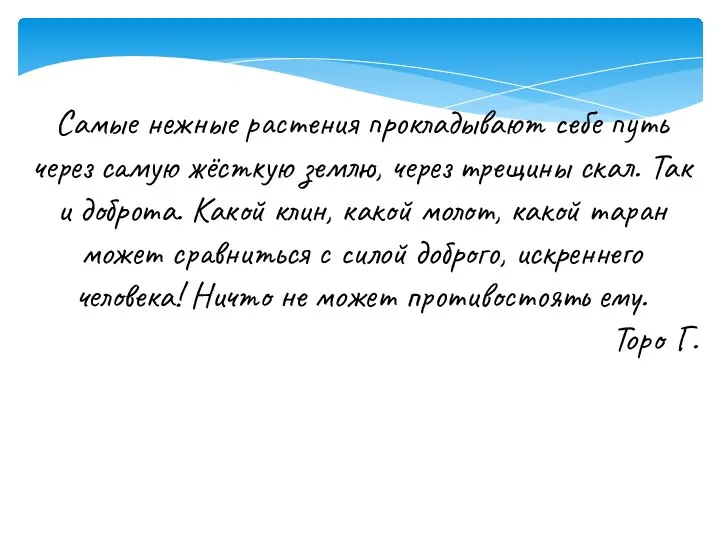 Самые нежные растения прокладывают себе путь через самую жёсткую землю, через трещины