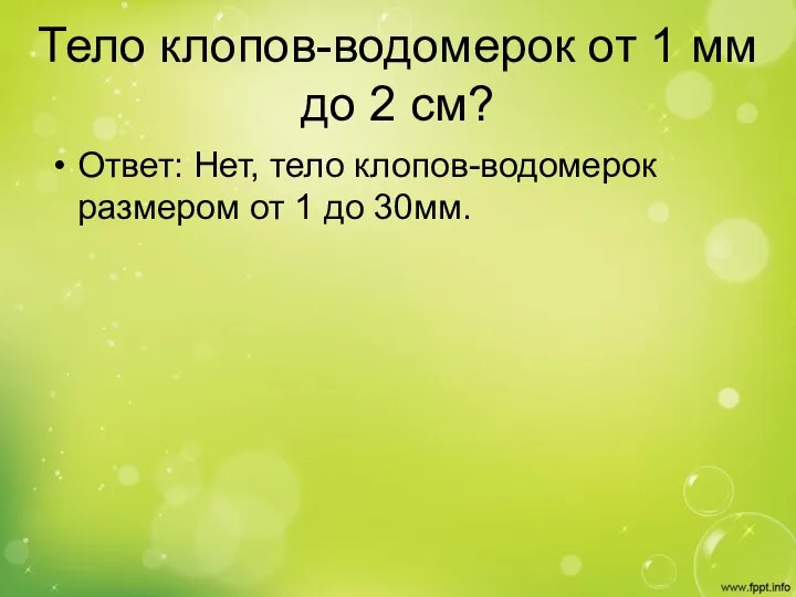 Тело клопов-водомерок от 1 мм до 2 см? Ответ: Нет, тело клопов-водомерок