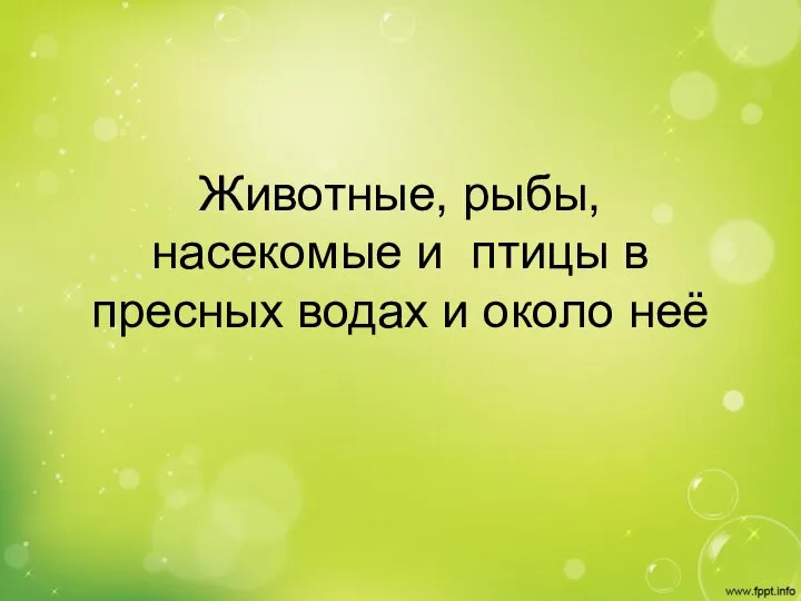 Животные, рыбы, насекомые и птицы в пресных водах и около неё