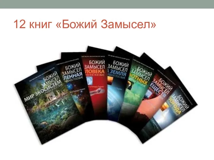 12 книг «Божий Замысел»