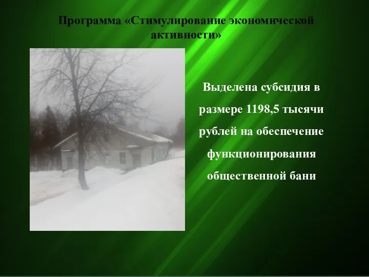 Программа «Стимулирование экономической активности» Выделена субсидия в размере 1198,5 тысячи рублей на обеспечение функционирования общественной бани