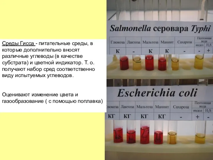 Среды Гисса - питательные среды, в которые дополнительно вносят различные углеводы (в