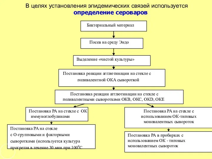 Бактериальный материал Посев на среду Эндо Выделение «чистой культуры» Постановка реакции агглютинации