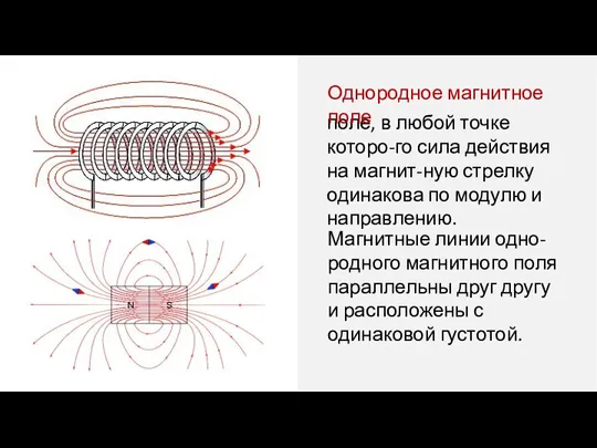 поле, в любой точке которо-го сила действия на магнит-ную стрелку одинакова по