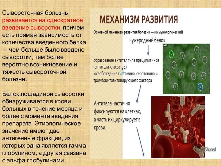 Сывороточная болезнь развивается на однократное введение сыворотки, причем есть прямая зависимость от