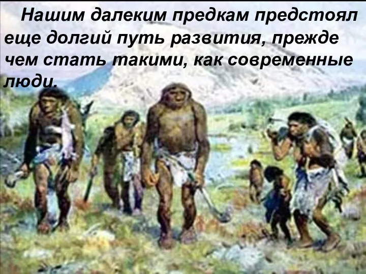 Нашим далеким предкам предстоял еще долгий путь развития, прежде чем стать такими, как современные люди.