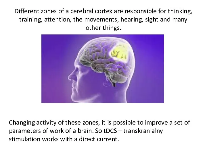 Different zones of a cerebral cortex are responsible for thinking, training, attention,