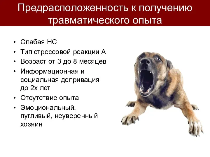 Предрасположенность к получению травматического опыта Слабая НС Тип стрессовой реакции А Возраст