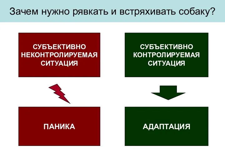 Зачем нужно рявкать и встряхивать собаку? СУБЪЕКТИВНО НЕКОНТРОЛИРУЕМАЯ СИТУАЦИЯ СУБЪЕКТИВНО КОНТРОЛИРУЕМАЯ СИТУАЦИЯ ПАНИКА АДАПТАЦИЯ