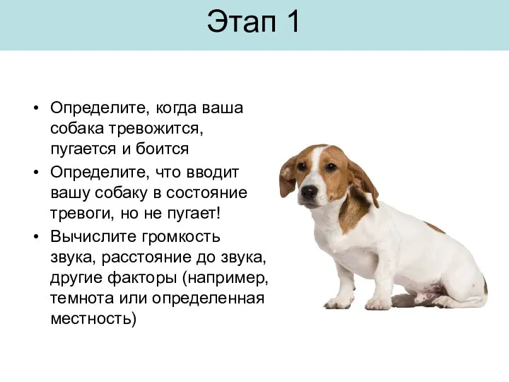 Этап 1 Определите, когда ваша собака тревожится, пугается и боится Определите, что