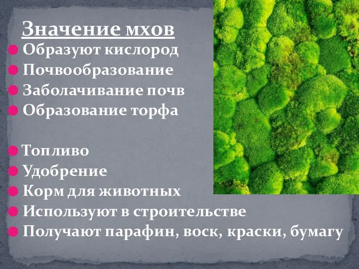 Образуют кислород Почвообразование Заболачивание почв Образование торфа Топливо Удобрение Корм для животных