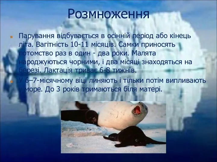 Парування відбувається в осінній період або кінець літа. Вагітність 10-11 місяців. Самки