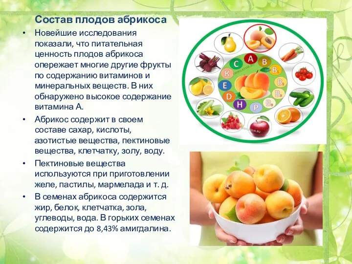 Состав плодов абрикоса Новейшие исследования показали, что питательная ценность плодов абрикоса опережает