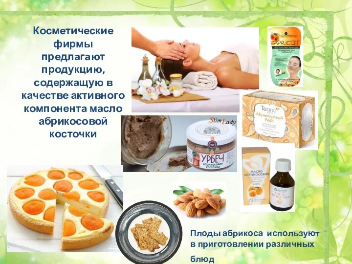 Косметические фирмы предлагают продукцию, содержащую в качестве активного компонента масло абрикосовой косточки