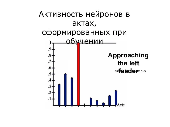 Активность нейронов в актах, сформированных при обучении Approaching the left feeder rabbit hippocampus