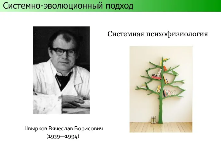Швырков Вячеслав Борисович (1939—1994) Системно-эволюционный подход Системная психофизиология