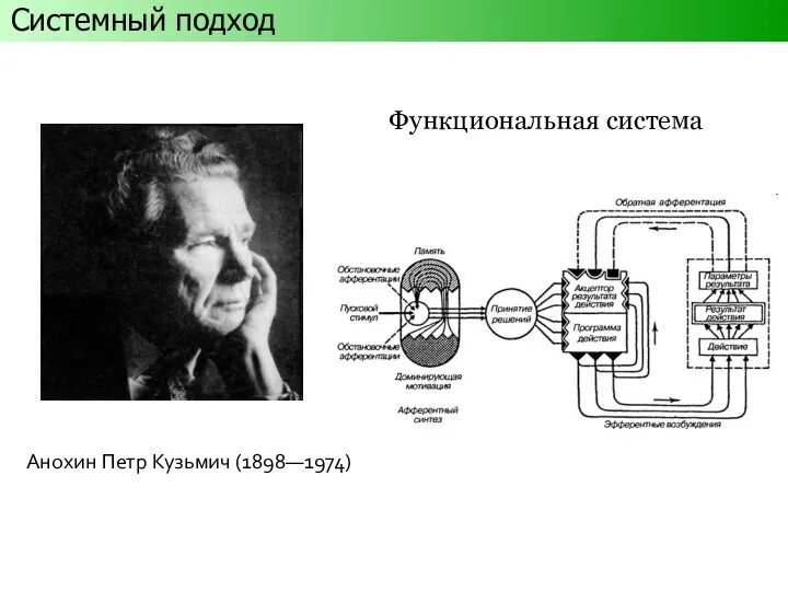 Анохин Петр Кузьмич (1898—1974) Функциональная система Системный подход
