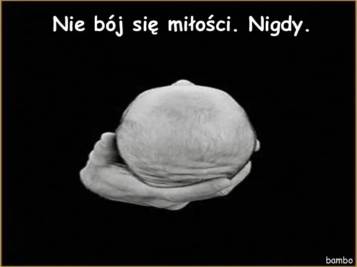 Nie bój się miłości. Nigdy. bambo