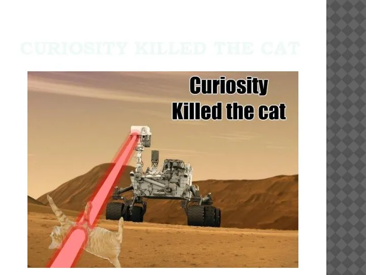 CURIOSITY KILLED THE CAT