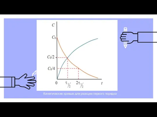 Кинетические кривые для реакции первого порядка