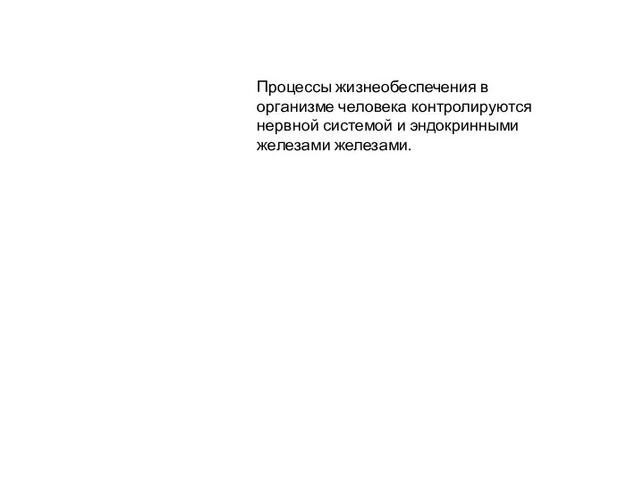 Процессы жизнеобеспечения в организме человека контролируются нервной системой и эндокринными железами железами.