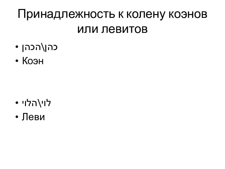 Принадлежность к колену коэнов или левитов כהן\הכהן Коэн לוי\הלוי Леви