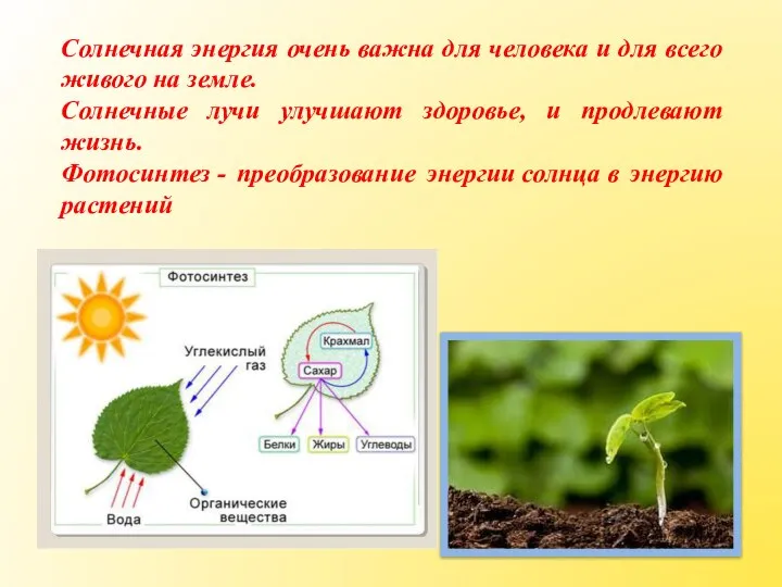 Солнечная энергия очень важна для человека и для всего живого на земле.