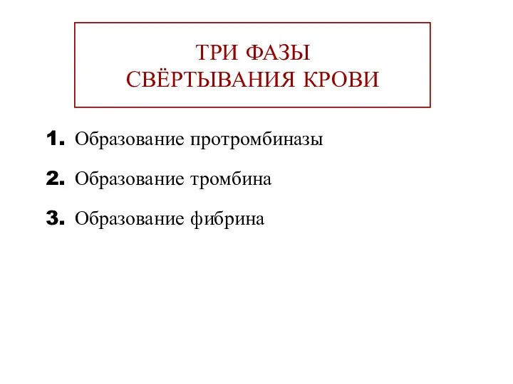 ТРИ ФАЗЫ СВЁРТЫВАНИЯ КРОВИ Образование протромбиназы Образование тромбина Образование фибрина