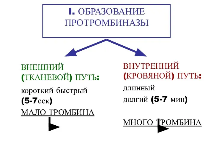 I. ОБРАЗОВАНИЕ ПРОТРОМБИНАЗЫ ВНЕШНИЙ (ТКАНЕВОЙ) ПУТЬ: короткий быстрый (5-7сек) МАЛО ТРОМБИНА ВНУТРЕННИЙ