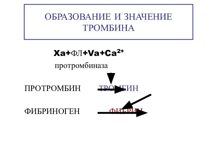 ОБРАЗОВАНИЕ И ЗНАЧЕНИЕ ТРОМБИНА Xa+ФЛ+Va+Ca2+ протромбиназа ПРОТРОМБИН ТРОМБИН ФИБРИНОГЕН ФИБРИН