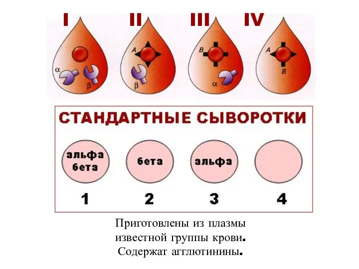 Приготовлены из плазмы известной группы крови. Содержат агглютинины. I II III IV