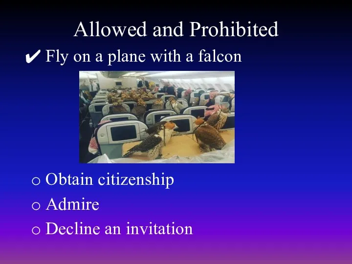 Allowed and Prohibited Fly on a plane with a falcon Obtain citizenship Admire Decline an invitation