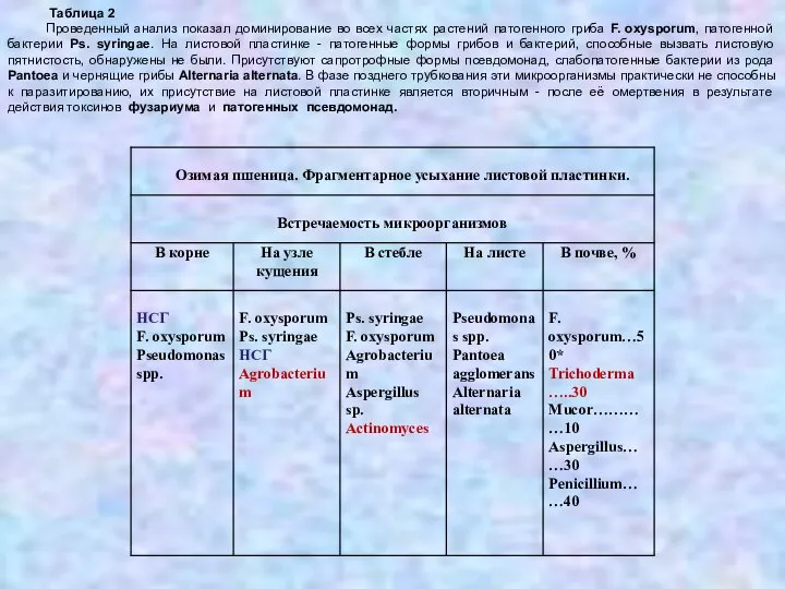 Таблица 2 Проведенный анализ показал доминирование во всех частях растений патогенного гриба