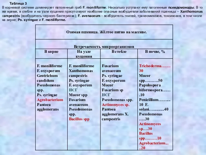 Таблица 3 В корневой системе доминирует патогенный гриб F. moniliforme. Несколько уступают