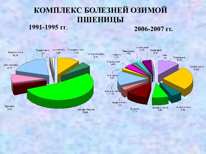 КОМПЛЕКС БОЛЕЗНЕЙ ОЗИМОЙ ПШЕНИЦЫ 1991-1995 гг. 2006-2007 гг.