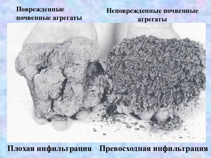 Неповрежденные почвенные агрегаты Поврежденные почвенные агрегаты Плохая инфильтрация Превосходная инфильтрация