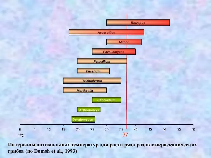 T0C 37 Интервалы оптимальных температур для роста ряда родов микроскопических грибов (по Domsh et al., 1993)