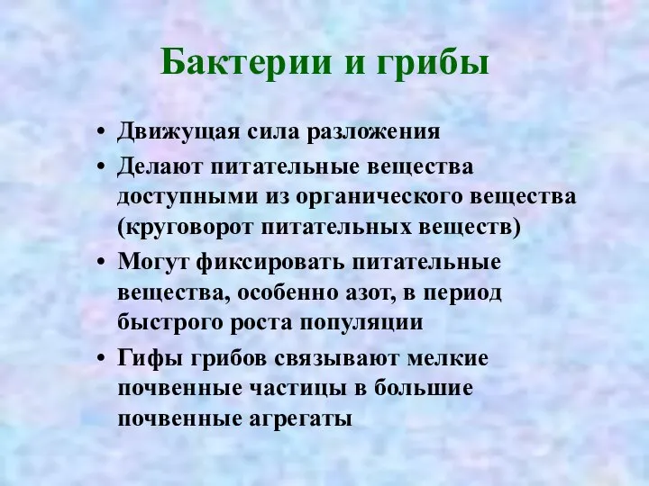 Бактерии и грибы Движущая сила разложения Делают питательные вещества доступными из органического