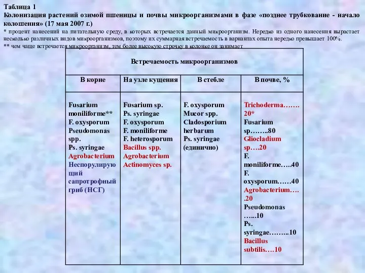 Таблица 1 Колонизация растений озимой пшеницы и почвы микроорганизмами в фазе «позднее