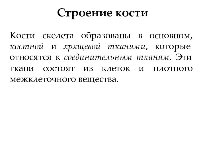 Строение кости Кости скелета образованы в основном, костной и хрящевой тканями, которые